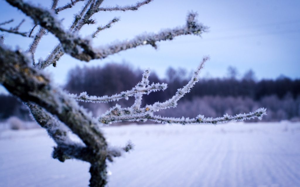 Wiejska Zagroda Podlasie